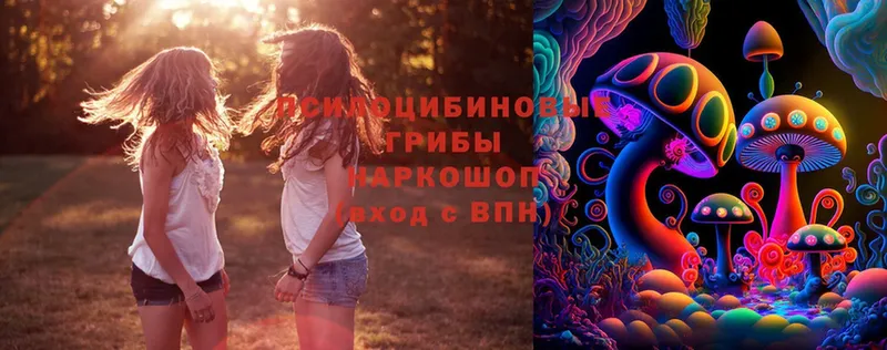 купить закладку  Апатиты  Галлюциногенные грибы Magic Shrooms 